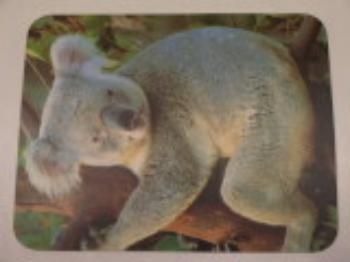 Podložka pod myš-"Koala" MANHATTAN